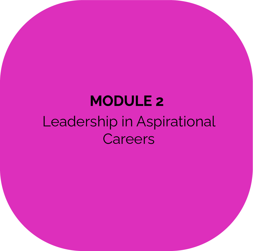 Module 2: leadership in aspirational careers